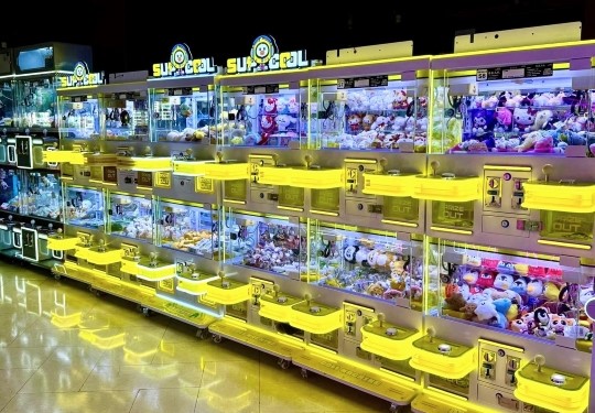 Countdown Park Claw Machine Wonderland