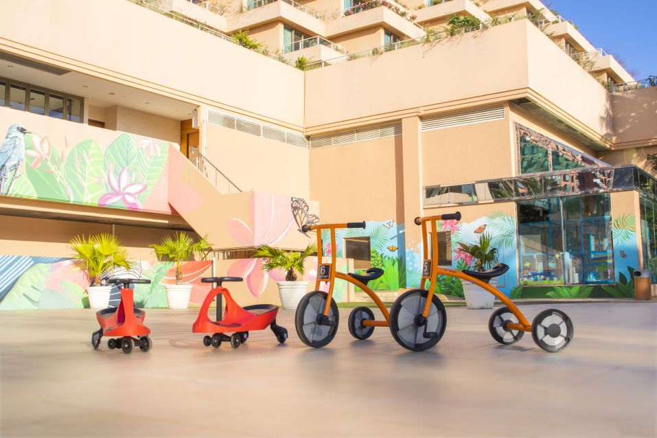 Children Twist Cars and Tricycles Rental
