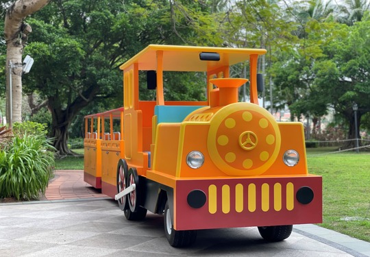 Mini Train Ride