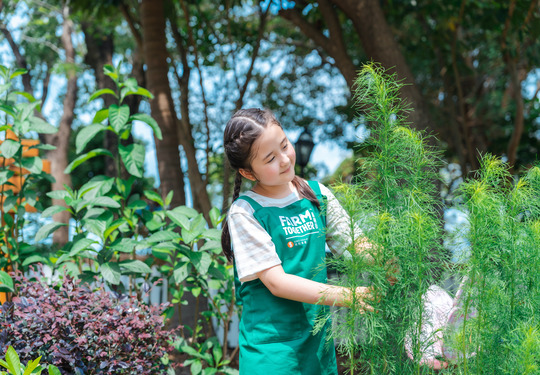 綠野遊蹤及觀鳥遊戲