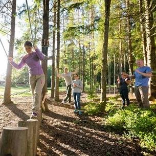 インセンティブ 