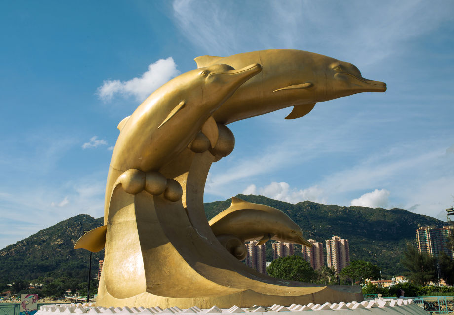Hong Kong Gold Coast Hotel | イルカ広場