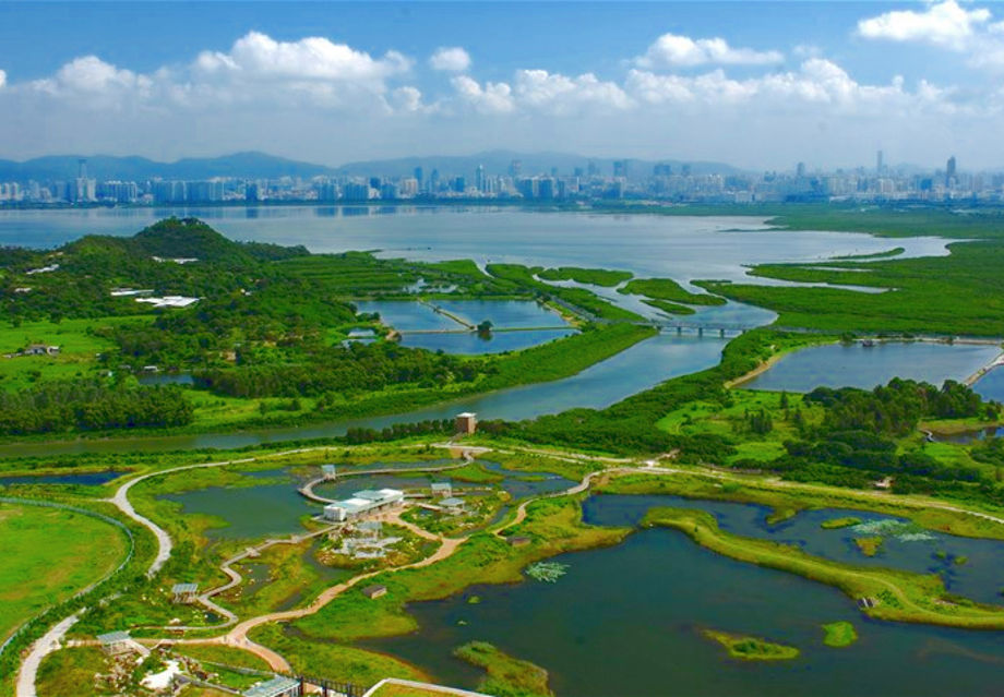 The Hong Kong Wetland Park