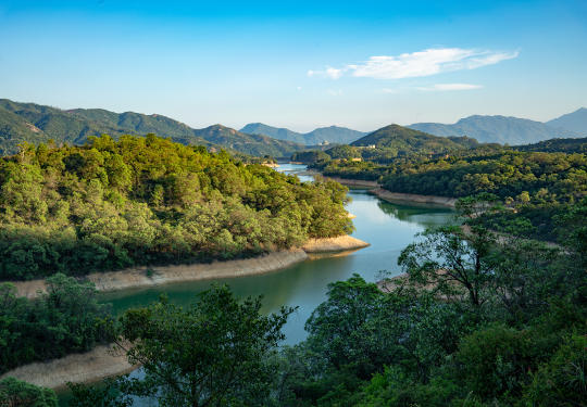 Tai Lam Mountain Bike Trail