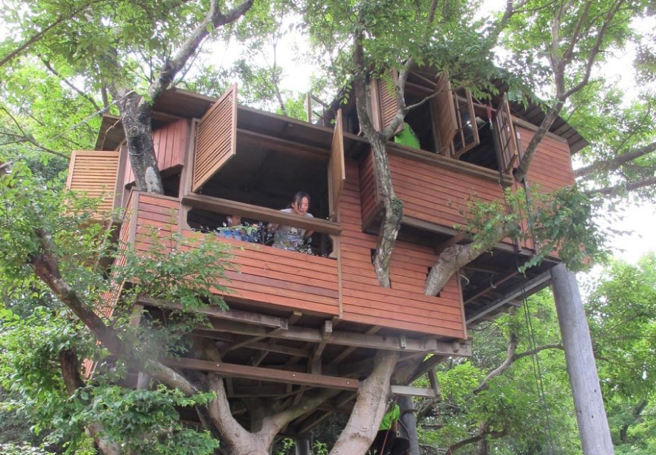 Tree Top Cottage Getaway