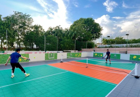 Experience the Thrill of Pickleball