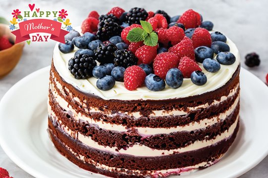 Parent-child Workshop - Berries Layer Cake