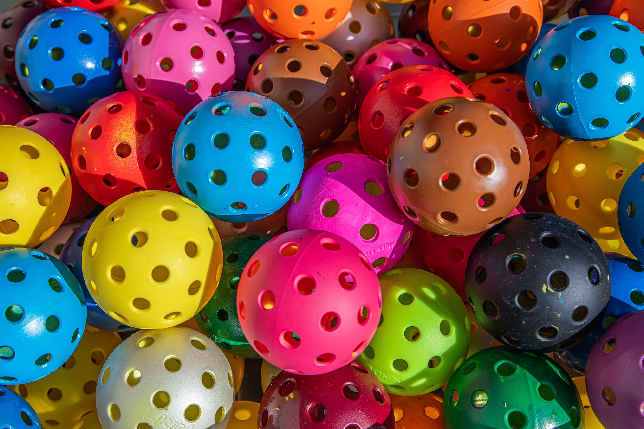 PICKLEBALL SOCIAL DAY